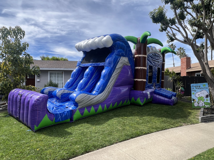 Bounce House Rentals